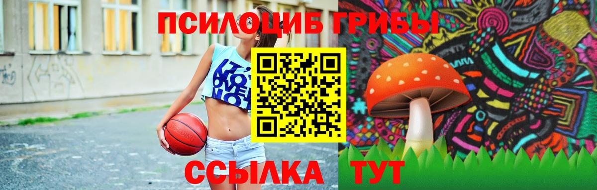 Псилоцибиновые грибы GOLDEN TEACHER Ленинск-Кузнецкий